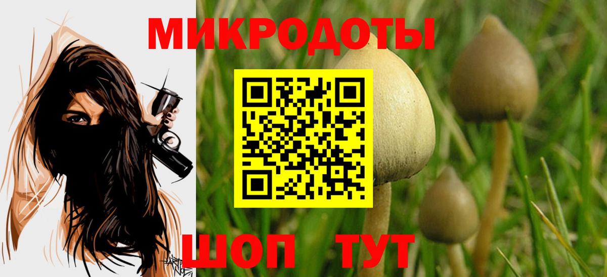 Сорочинск  магазин продажи наркотиков  Вход с VPN  Галлюциногенные грибы мухоморы 