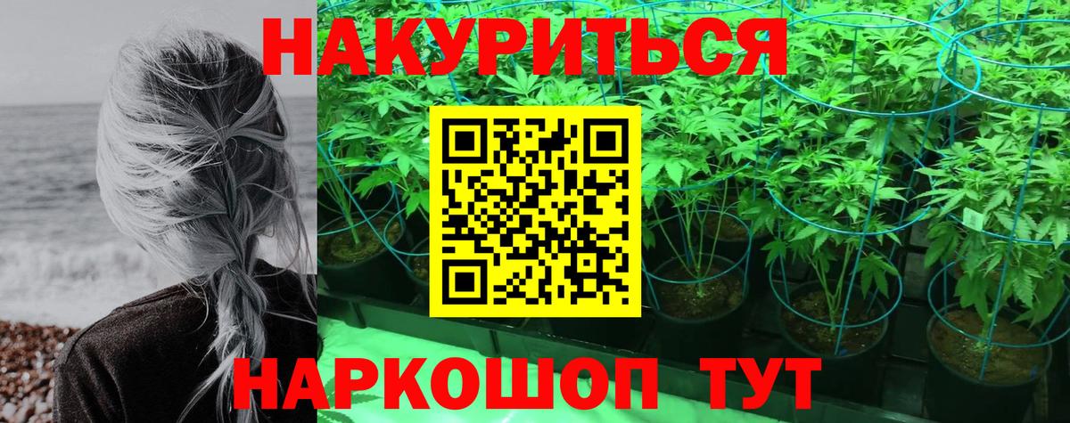 Каннабис сатива  Вход с VPN  Шишки марихуана марихуана  Сорочинск  Марихуана марихуана  Бошки марихуана план 